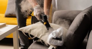 couch steam cleaning