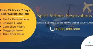 Spirit Airlines Reservations