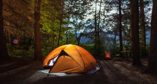 5 Camping Essentials For Beginners