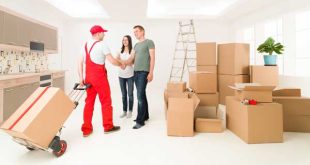 Choose the Best Moving Company in the UAE
