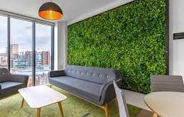 Hazelwood Artificial Wall Plant