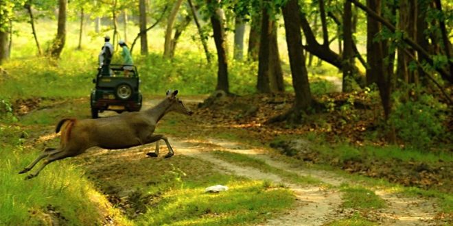 wildlife sanctuaries of India