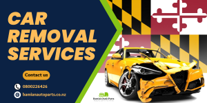 Benefits of Hiring Junk Cars Removal Services (1)