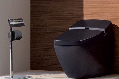 auto cleaning toilet