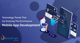 eCommerce Mobile App Development:
