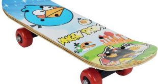 Skateboard