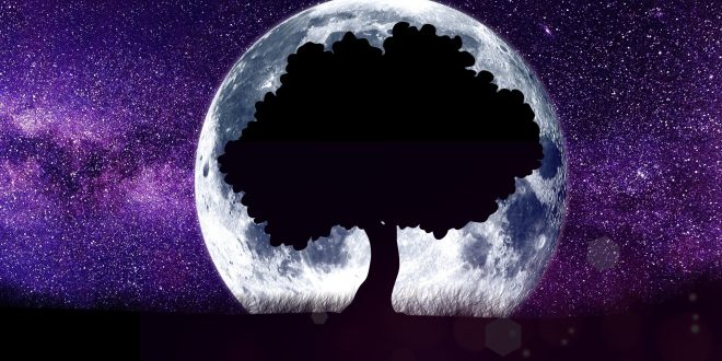 Astrology Synastry