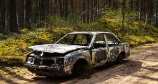 Fully burnt car in the forest in spirng on sandy road