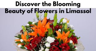 Discover the Blooming Beauty of Flowers in Limassol