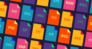 types of image files